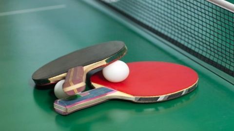 Table Tennis, टेबल टेनिस महासंघ