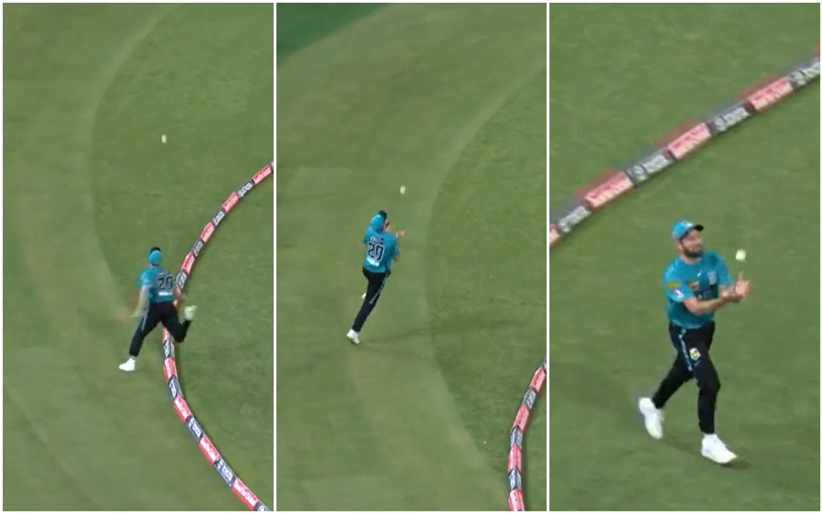 Cricket Image for WATCH: Michael Neser's Brilliant Catch In BBL Which Left The Cricket Fraternity Di