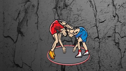 WFI to put 'spies' on local competitions to avoid embarrassment.