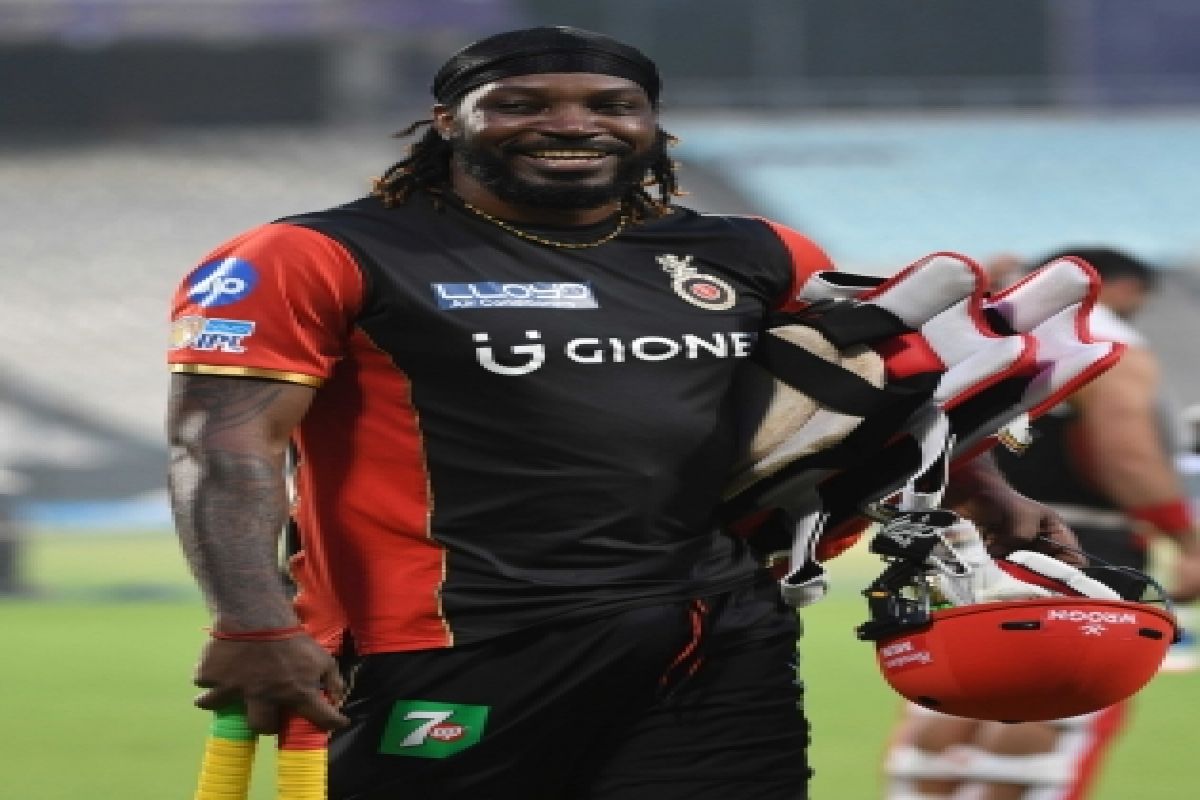 'She was in pain and wanted me to hit more sixes': Chris Gayle recalls when he broke a fan's nose wi 'She was in pain and wanted me to hit more sixes': Chris Gayle recalls when he broke a fan's nose wi