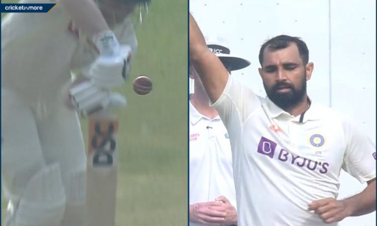 Cricket Image for  WATCH : मोहम्मद शमी की गेंद ने ऐसा बदला कांटा, वॉर्नर का हो गया काम तमाम