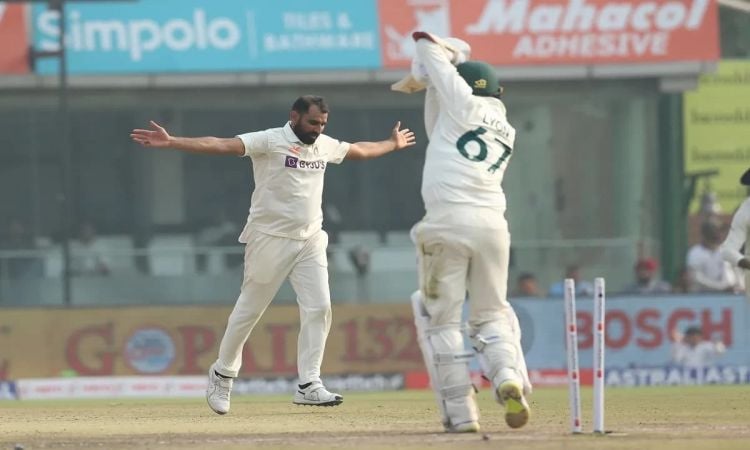 IND vs AUS: Bowlers Shine As India Bowl Out Australia For 263 In 1st Innings