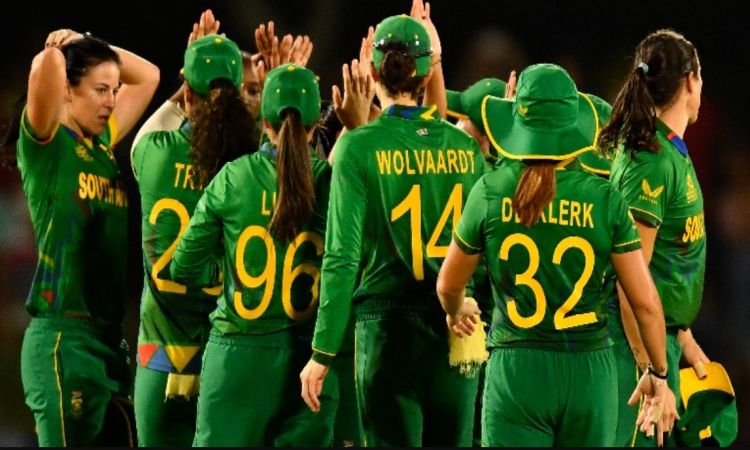 Stunning South Africa smash New Zealand to save World Cup campaign