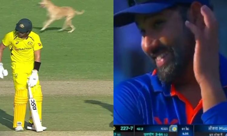 Cricket Image for VIDEO: मैदान में घुसकर कुत्ते ने रोका खेल, रोहित शर्मा भी नहीं रोक पाए हंसी