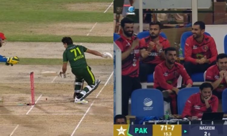 Cricket Image for AFG vs PAK: नसीम शाह ने खुद ही स्टंप पर दे मारा बैट, हंस पड़े अफगानिस्तान के