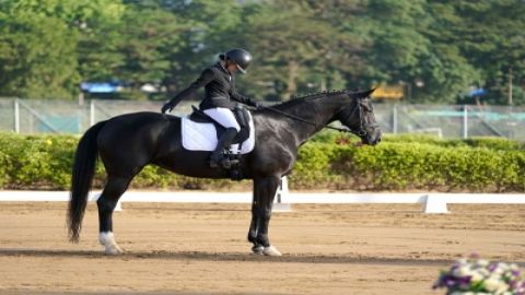 Ronit tops junior show jumping as ARC concludes Regional Equestrian League
