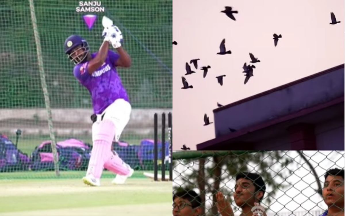Cricket Image for VIDEO: संजू सैमसन ने मचाया छक्कों से आतंक, बाल-बाल बचे छत पर बैठे कौए
