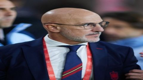 Scotland defeat leaves big questions for new coach De la Fuente