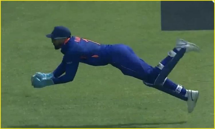 Cricket Image for Superman बने केएल राहुल, हवा में उड़कर पकड़ा स्टीव स्मिथ का कमाल कैच; देखें VIDEO