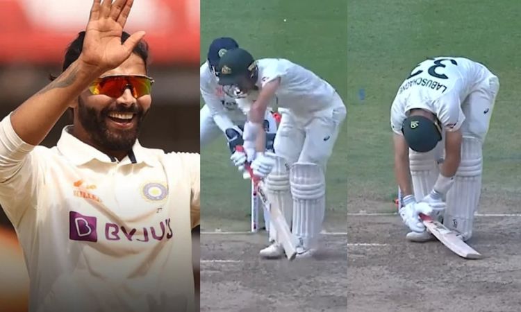 Cricket Image for मार्नस लाबुशेन के काल बने रविंद्र जडेजा, टेस्ट के बेस्ट बल्लेबाज़ का किया बुरा हाल