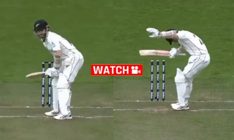 Cricket Image for 'प्रकृति का प्रकोप', हवा में उड़ने वाले थे केन विलियमसन; देखें VIDEO