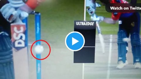 Mohammed Shamis Fast Ball Hit The Stumps Yet David Warner Was Not Out Watch Shocking Video