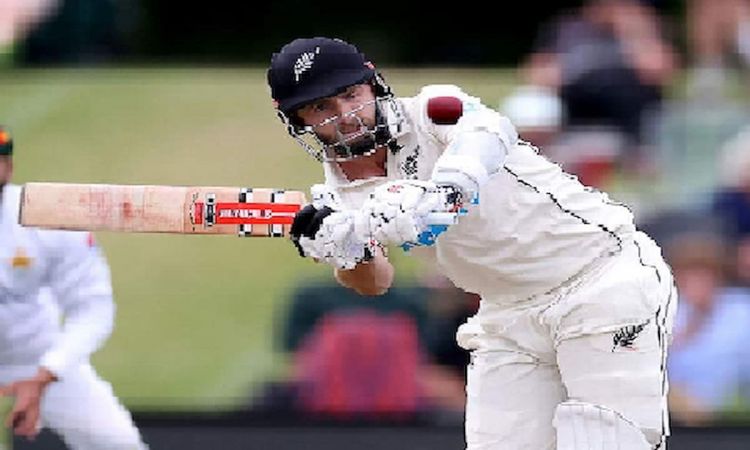 IPL 2023: Gujarat Titans' Kane Williamson ruled out with injury, to fly back to New Zealand