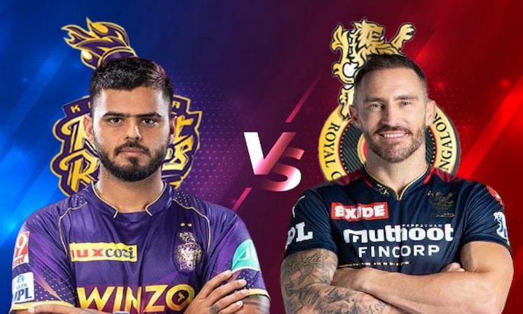 IPL 2023: RCB win toss, elect to bowl first against KKR(twitter IPL)