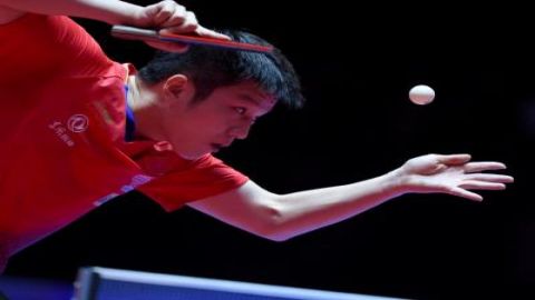 World No. 1s Fan, Sun crowned at WTT Champions in Xinxiang