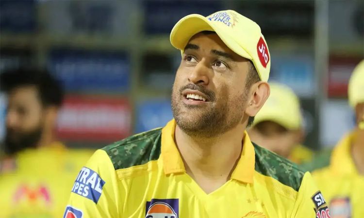 What will be the future of Dhoni in IPL, Sehwag said this