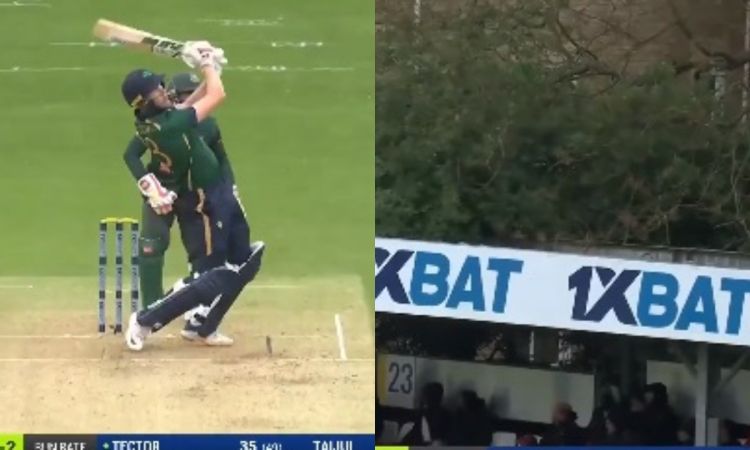 Cricket Image for WATCH: हैरी टेक्टर ने मचाया आतंक, लंबे छक्के मारकर स्टेडियम के बाहर पहुंचाई गेंद
