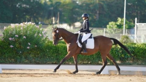 Regional Equestrian League: Jahnvi, Niharika, Inaara qualify for the Nationals