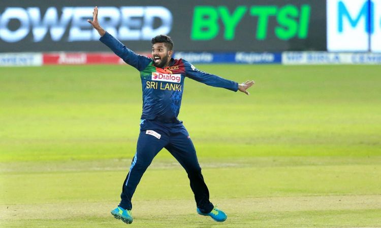 ODI WC Qualifiers Batters, Hasaranga star in Sri Lanka's massive 175-run win over UAE
