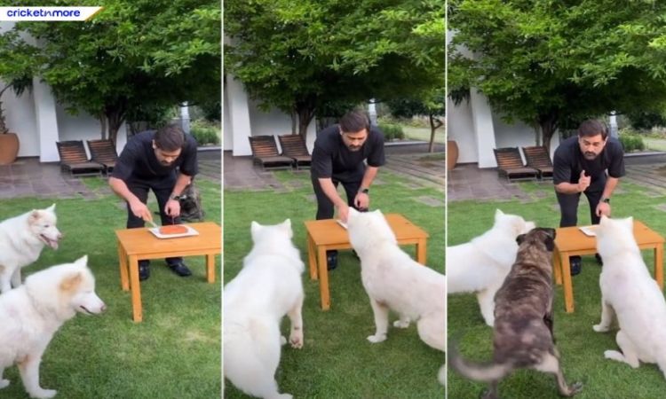 MS Dhoni celebrated his 42nd birthday with pet dogs!