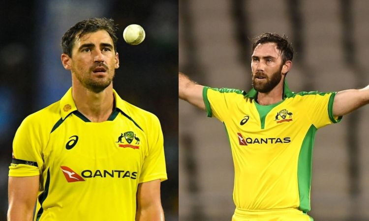 3rd ODI: ऑस्ट्रेलिया के लिए बड़ी खुशखबरी, तीसरे वनडे में 2 स्टार खिलाड़ियों की हो सकती है वापसी