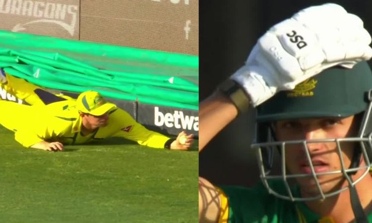 3rd ODI:  एबॉट ने एक हाथ से पकड़ा बेहतरीन कैच, भौंचक्का रह गए यानसेन, देखें Video 