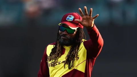 टॉप-5 खिलाड़ी जिन्होंने World Cup इतिहास में लपके हैं सबसे ज्यादा कैच, Chris Gayle भी हैं लिस्ट में 