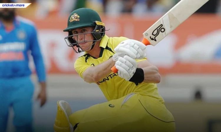 IND vs AUS 3rd ODI: वॉर्नर-मार्श के बाद स्मिथ और लाबुशेन ने ठोका पचासा, भारत को मिला 353 रनों का लक्ष्य