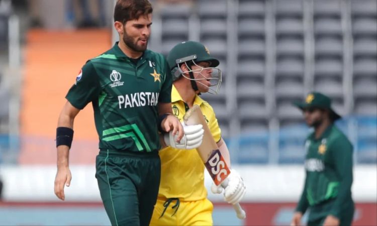 Cricket World Cup 2023 Australia vs Pakistan Probable XI