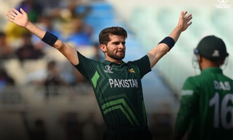 CWC 2023: 50 ओवर भी टिक नहीं सकी बांग्लादेश की टीम, पाकिस्तान को मिला 205 रनों का लक्ष्य