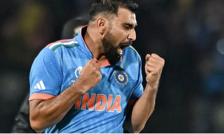 Mohammed Shami, India vs New Zealand