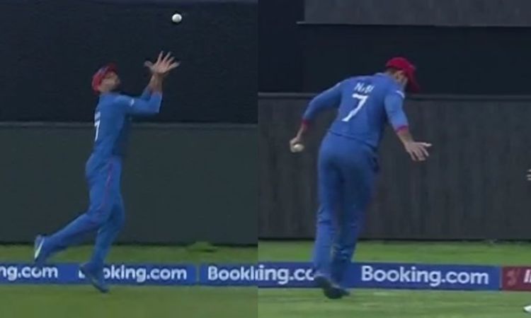 World Cup 2023: मोहम्म्मद नबी ने की गज़ब फील्डिंग, छक्के को कैच में किया तब्दील, देखें video