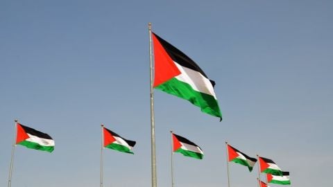 Palestinian flags displayed during Pakistan-Bangladesh ODI in Kolkata