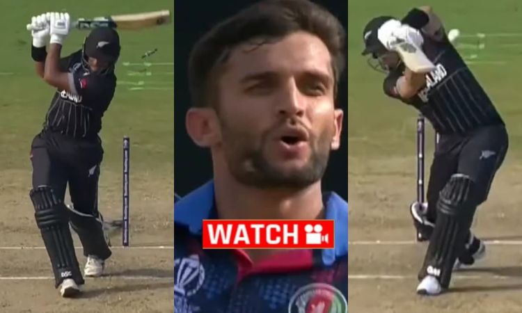 6 गेंदों में बदला गेम, ओमरजाई ने दो विकेट चटकाकर कीवी खेमे में मचाया हड़कंप; देखें VIDEO