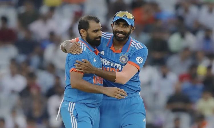World Cup में भारत के लिए गेंद लहराएंगे मोहम्मद शमी, देखें कैसे हैं शमी के ODI आंकड़ें