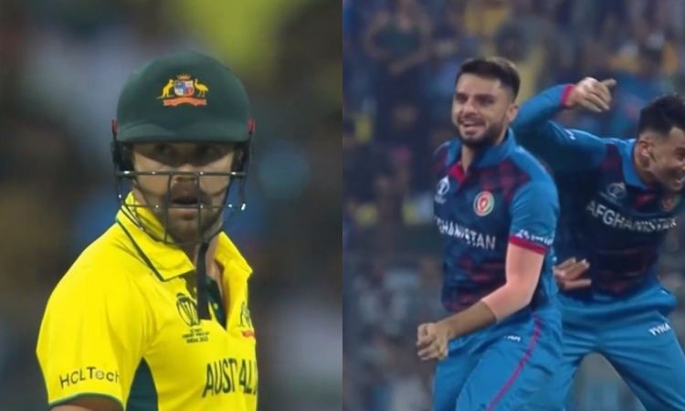 World Cup 2023: नवीन-उल-हक ने ट्रैविस हेड को इस तरह से बनाया अपना शिकार