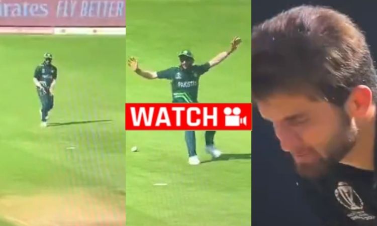 कुछ ऐसा घूमा समय का पहिया... फिर हसन अली ने टपका दिया बेहद आसान कैच; देखें VIDEO