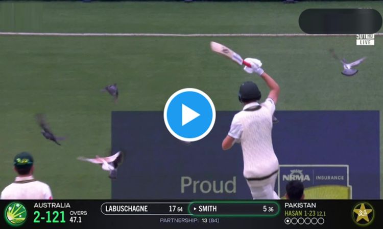 ‘कबूतर जा जा जा’- लाबुशेन और हसन अली मैच में कबूतरों को उड़ाते हुए आए नजर, वायरल हुआ Funny Video