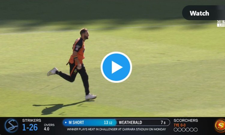  एंड्रयू टाई ने डाली ड्रीम गेंद, 10 मैच 522 रन ठोकने वाले बल्लेबाज पस्त होकर हुआ बोल्ड,देखें Video