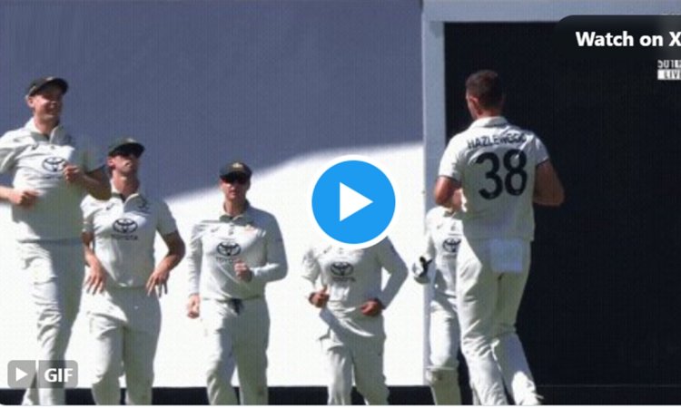 जोश हेजलवुड ने विकेट जश्न के दौरान कैमरून ग्रीन को दूर भगाया, ऑस्ट्रेलिया-वेस्टइंडीज टेस्ट में दिखा 