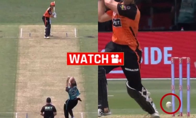 BBL में फिर हुआ गजब! स्टंप पर लगी गेंद फिर भी आउट नहीं हुआ बल्लेबाज़; देखें VIDEO