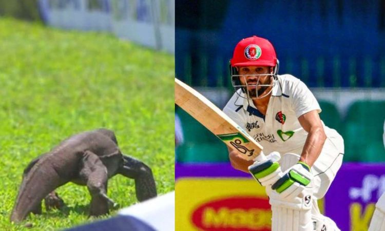  Sri Lanka vs Afghanistan Test was delayed for sometime due to Monitor Lizard