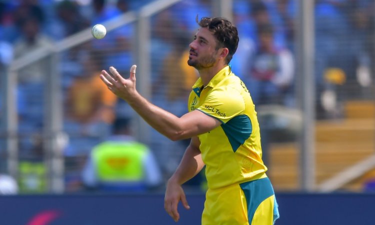 Marcus Stoinis ruled out from NZ T20I series, Aaron Hardie named replacement