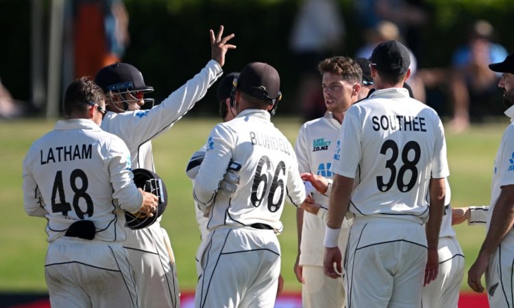 New Zealand move to top of WTC25 standings with 281-run win over South Africa