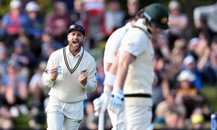 Australia Have 'Backs To The Wall' As New Zealand Clean Out Top 4