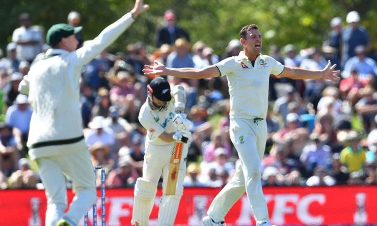 Josh Hazlewood Stars As Australia Dominate Day One Against New Zealand