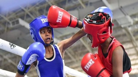 Boxing: Haryana, Punjab off to flying starts at 3rd Sub Junior Nationals