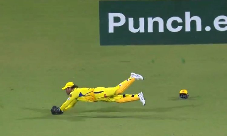 IPL 2024: 'Wound back the clock', Steve Smith in awe of Dhoni's quick-reflex diving catch in Chepauk