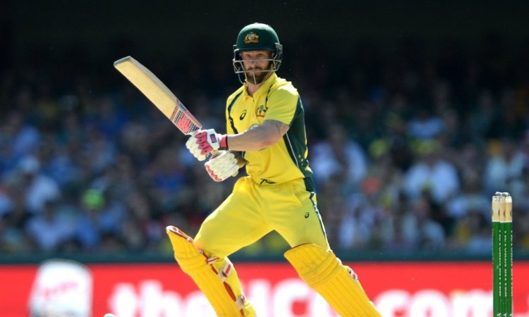 Matthew Wade could be looked at as new T20 captain by Cricket Australia: Report