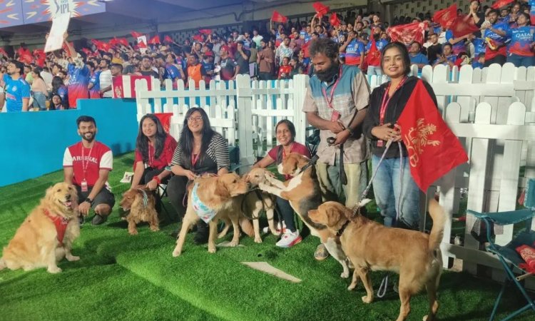 VIDEO: आईपीएल 2024 के लिए RCB की नई पहल, अब स्टेडियम में अपने कुत्ते के साथ देख सकेंगे मैच